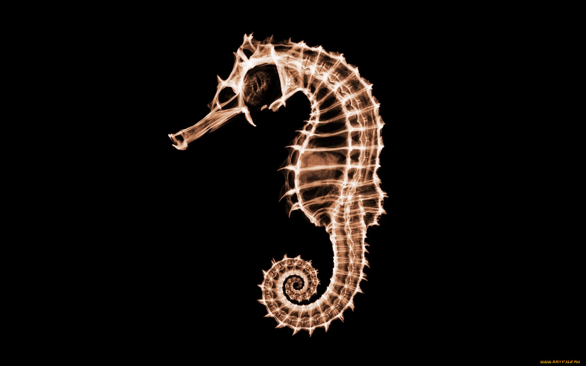 , ,  , , 